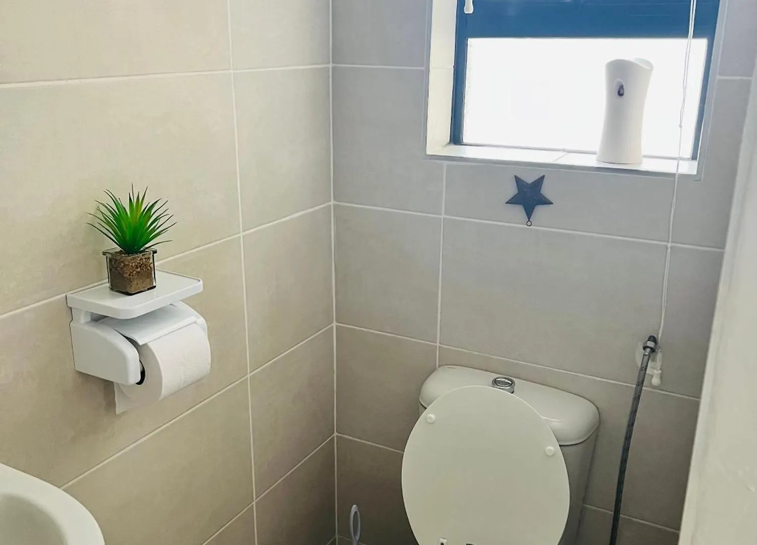 Private Garden Guest House Κέιπ Τάουν Νότια Αφρική